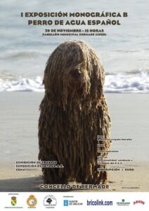 perro_de_agua